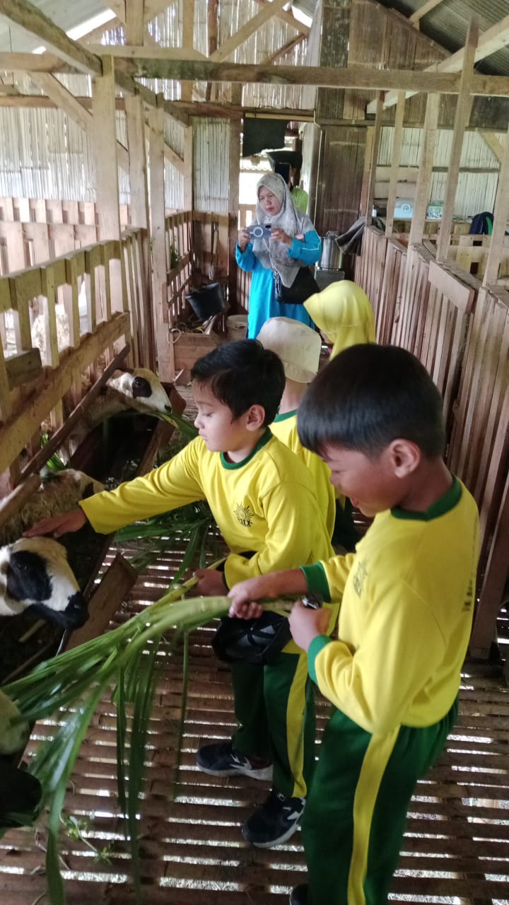 Kunjungan Wisata Belajar TK