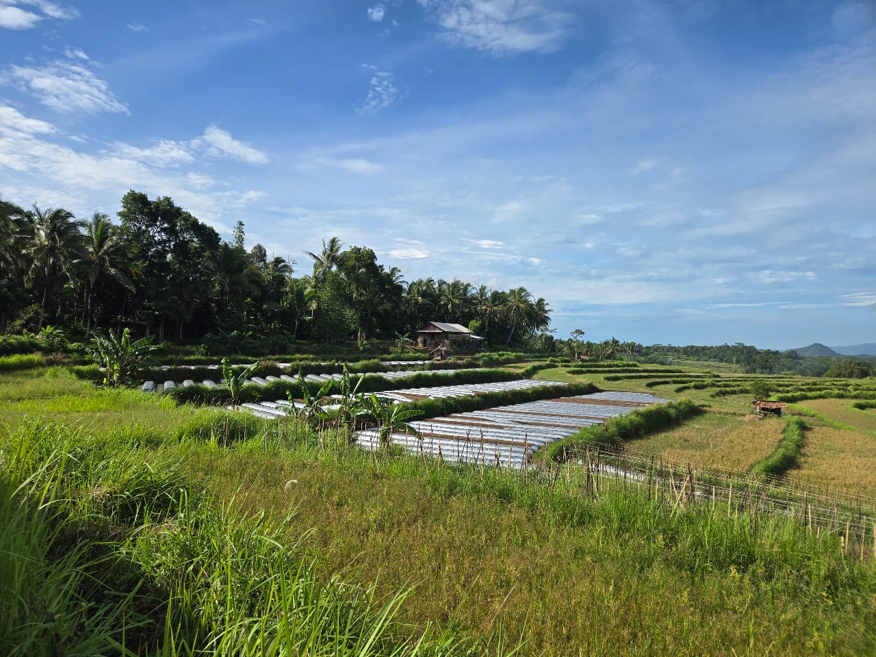Integrated Farm